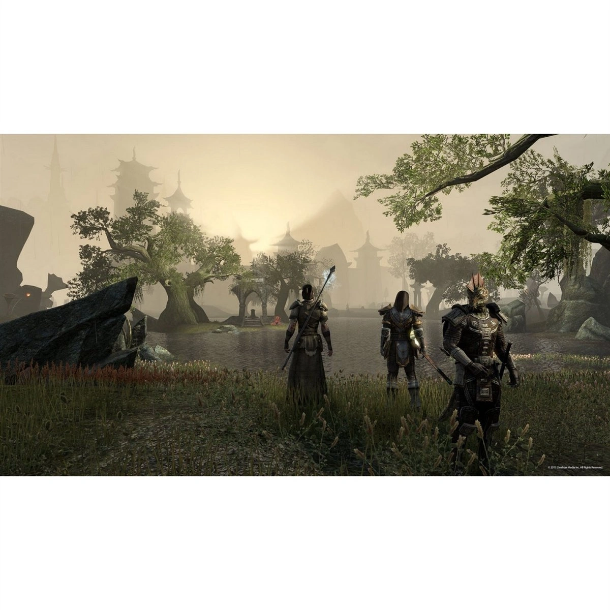Elder Scrolls Online Morrowind PS4 used game case Pakistan