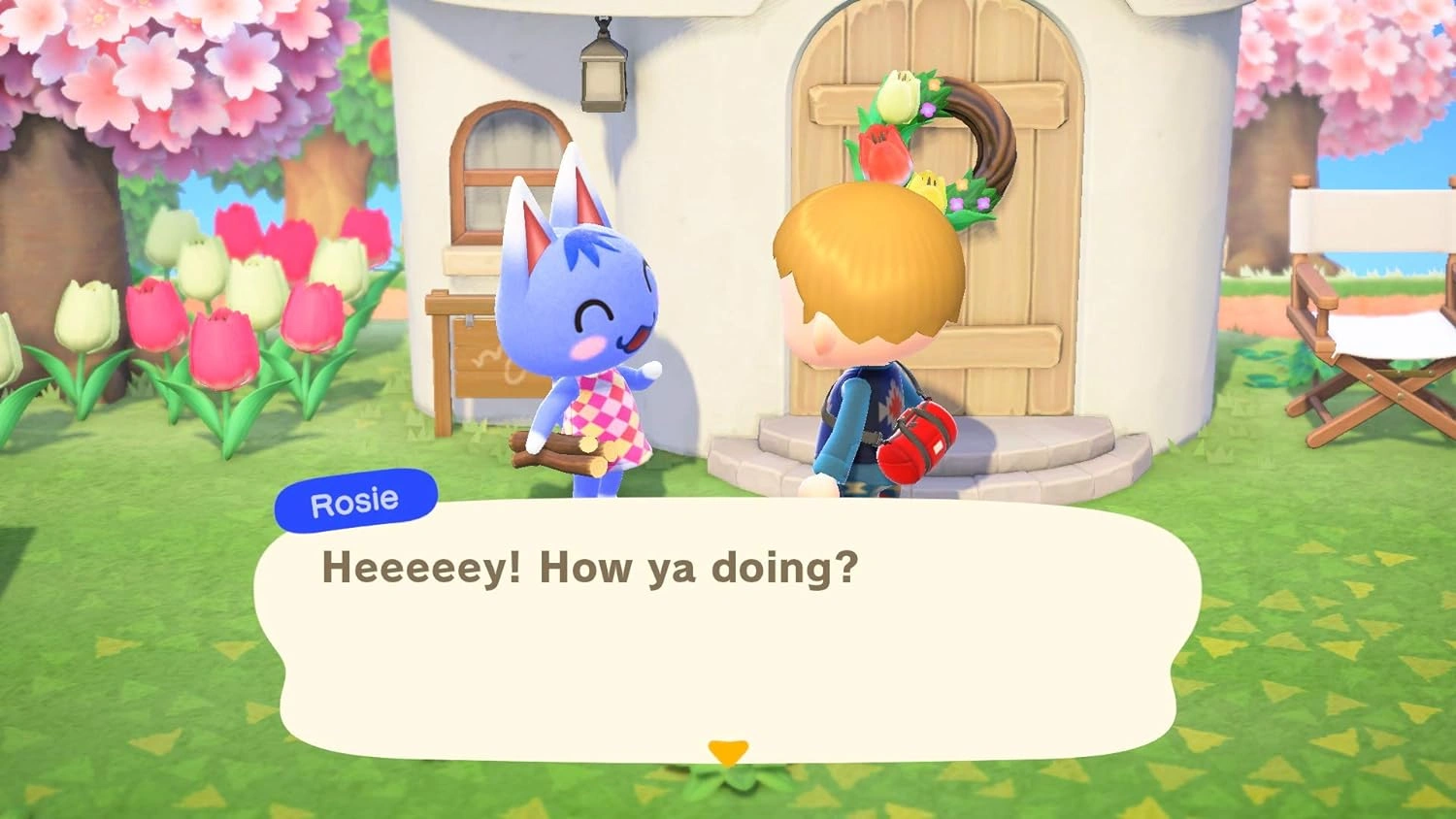 Animal Crossing New Horizons Nintendo Switch game box cover New Horizons Game Nintendo Switch island customisation and characters