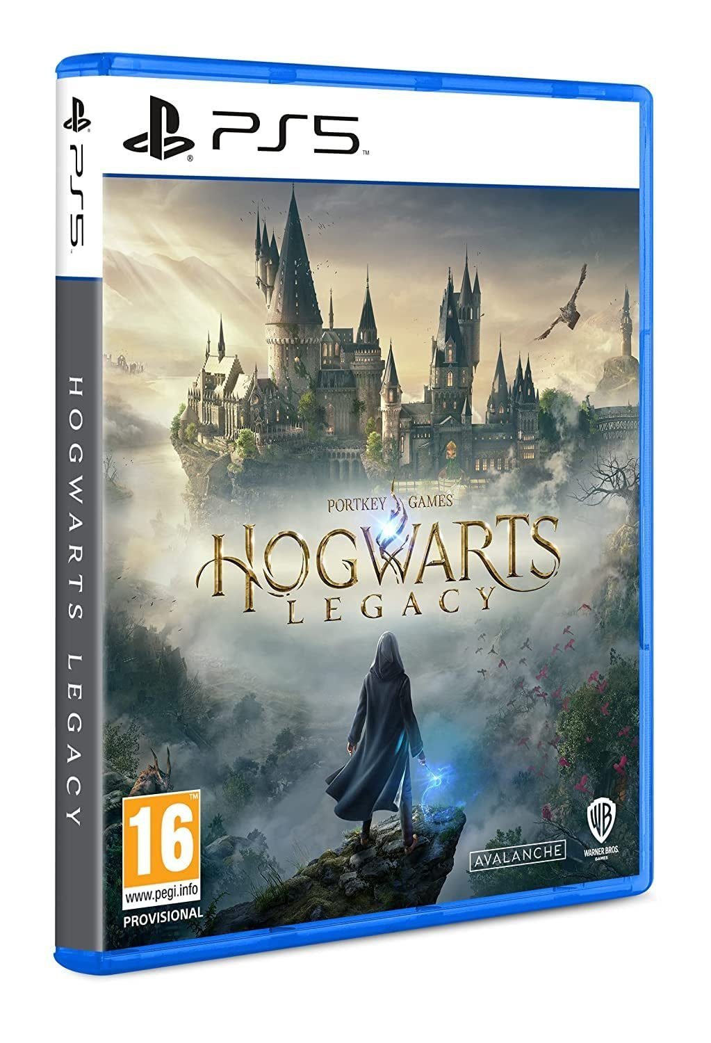 Buy Hogwarts Legacy PS5 games Pakistan