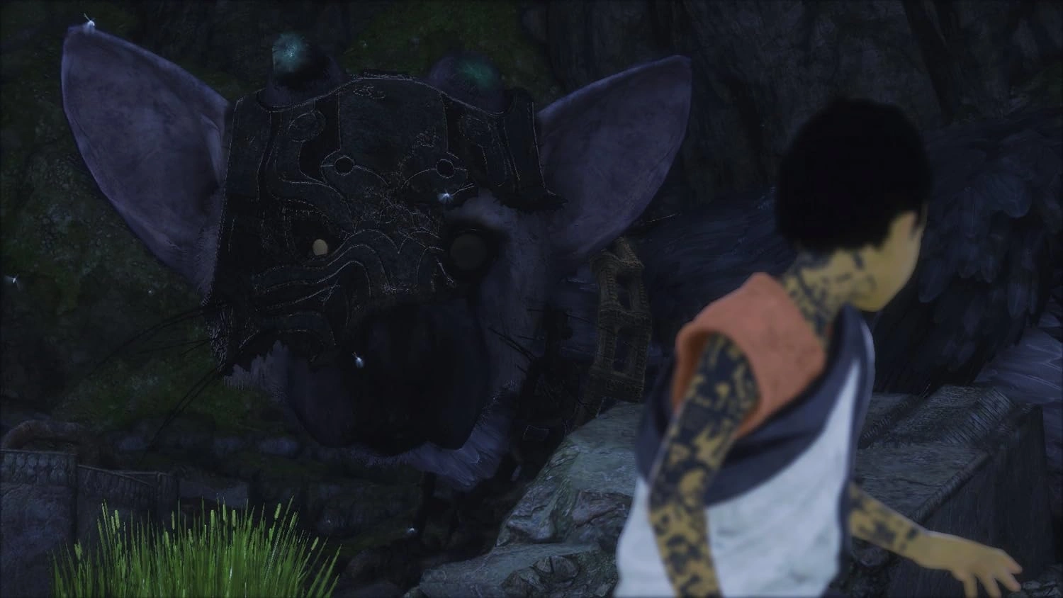 The Last Guardian PS4 game case cover