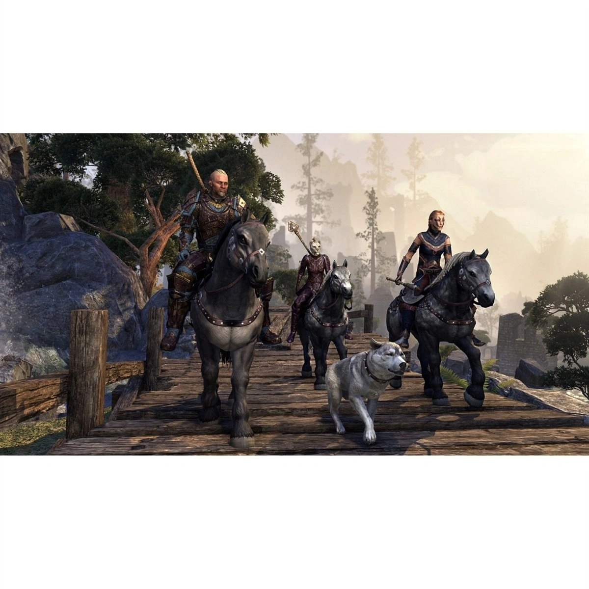 Elder Scrolls Online Morrowind PS4 used game case Pakistan