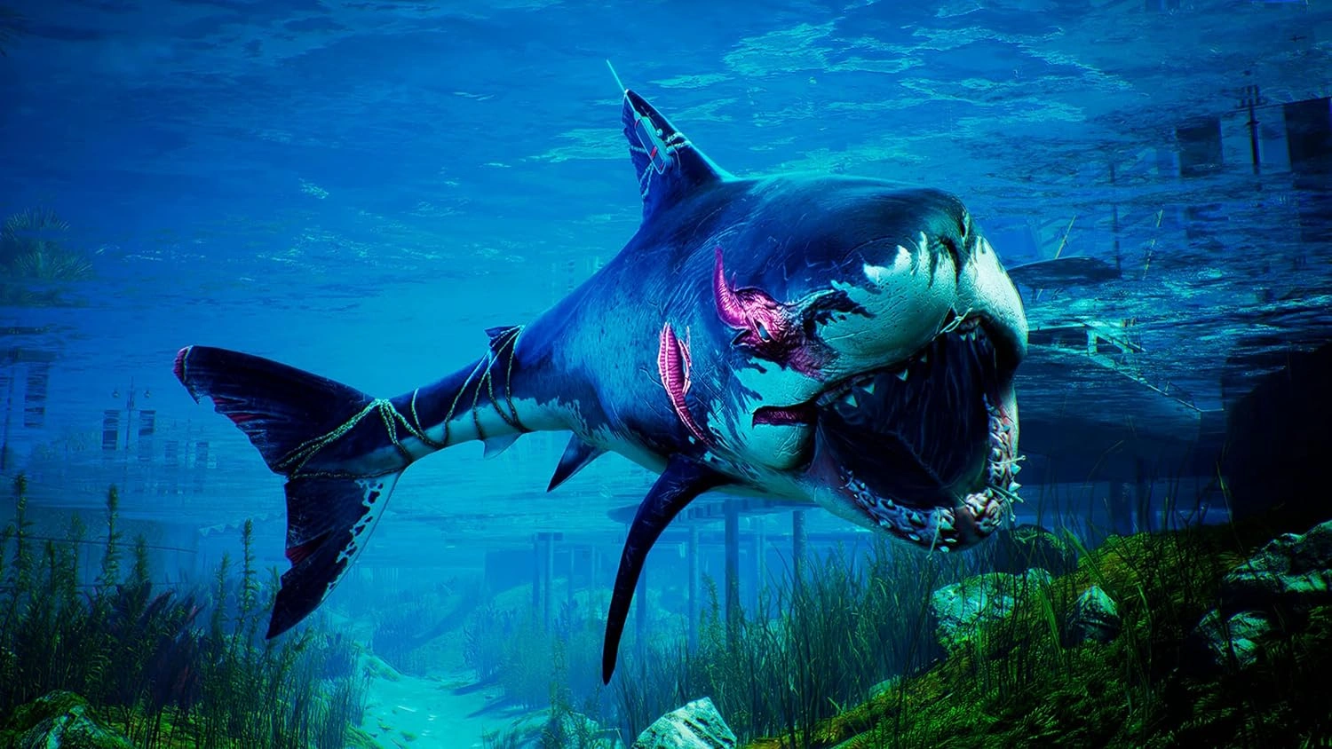 Maneater PS5 Shark RPG Game Cover Pakistan