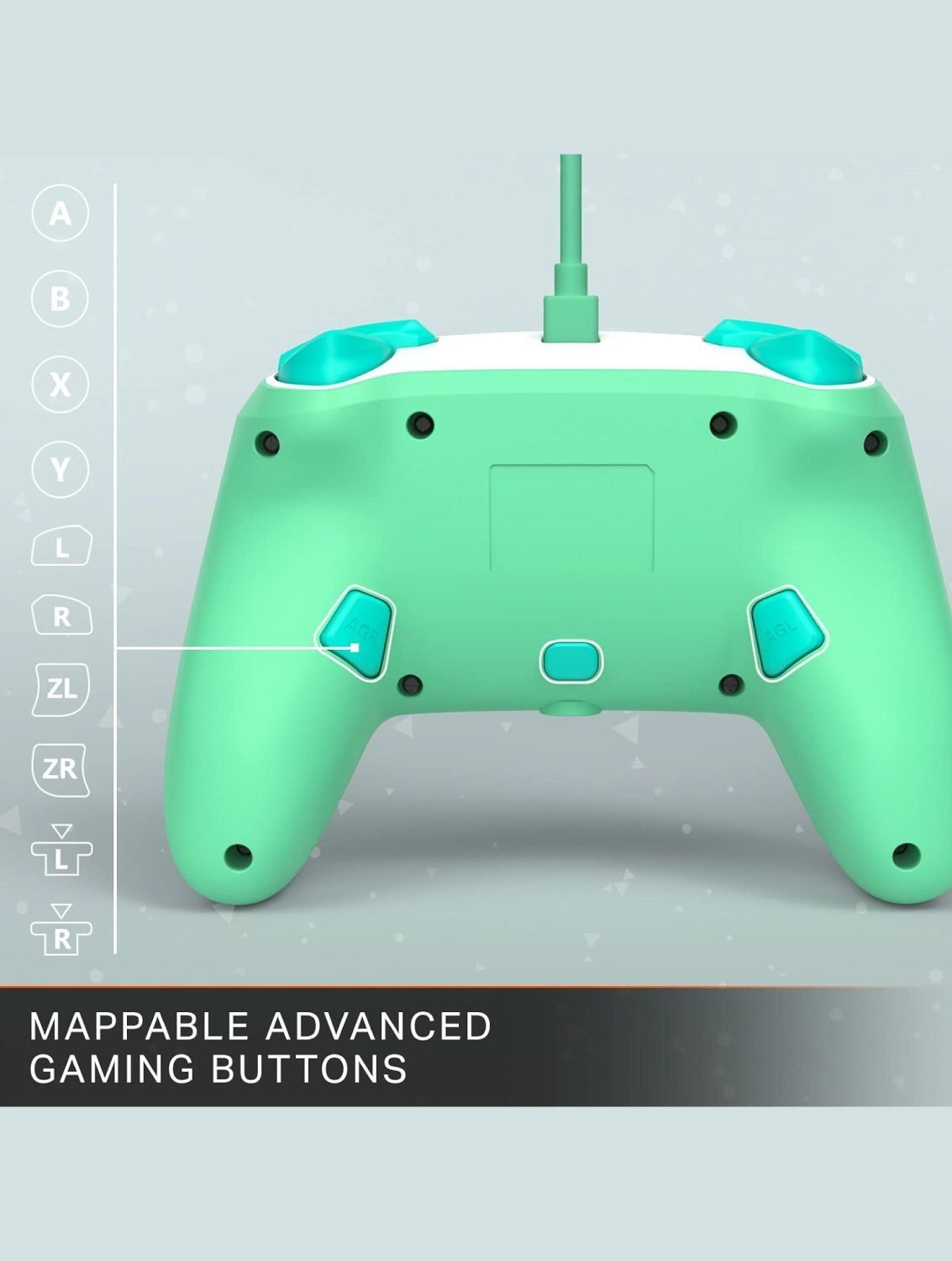 Animal Crossing Switch controller showing character artwork design