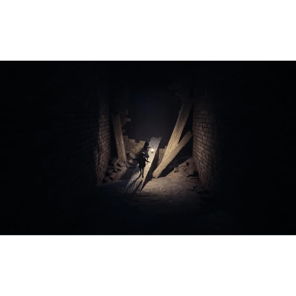 REANIMAL PS5 game cover - co-op horror adventure game from Tarsier Studios on PlayStation 5