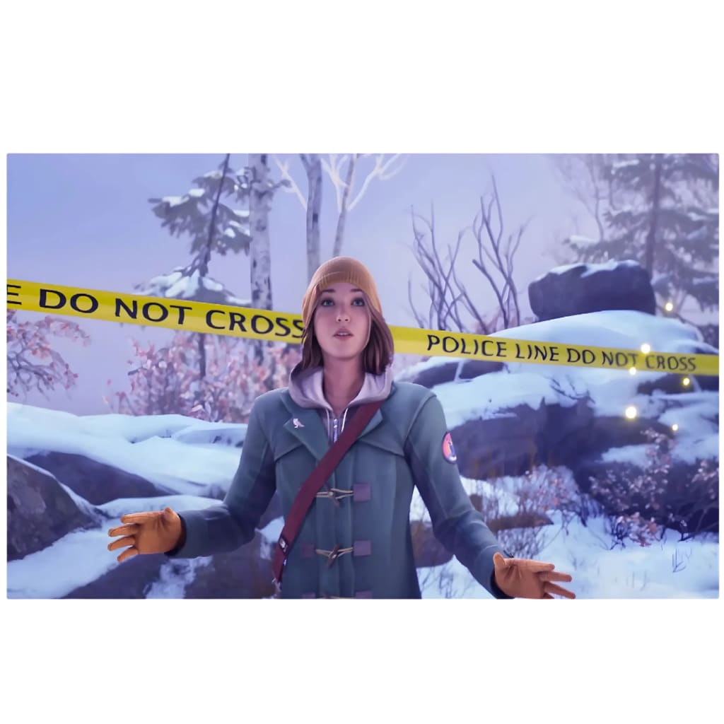 Life is Strange Double Exposure PS5