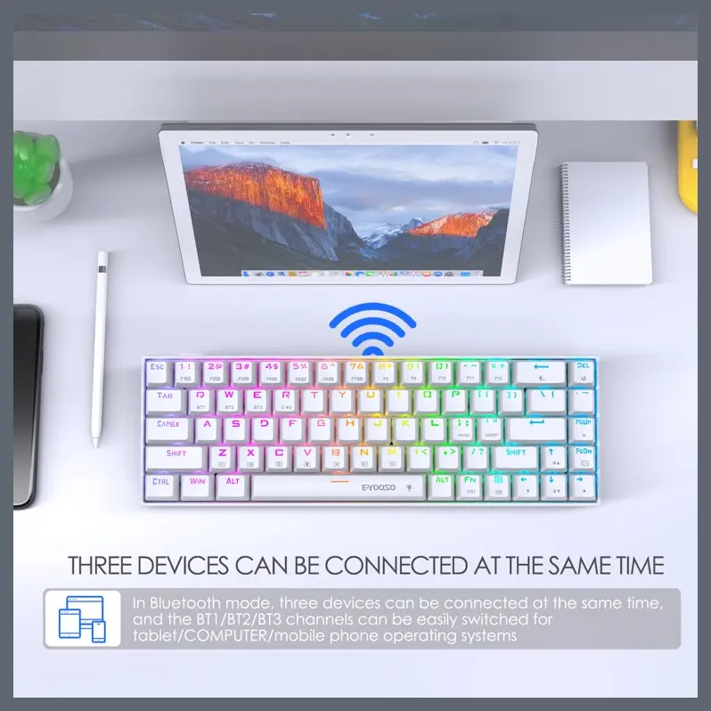 E-Yooso Z686 Gaming Keyboard - 68 Keys, USB Type-C Wired, Mechanical Keyboard, Lightweight, Anti-Ghosting,Double Shot Keycaps, Hotswappable Switch, RGB Backlight, Red Switch, White